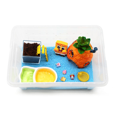 寄居蟹新手饲养套餐儿童礼物