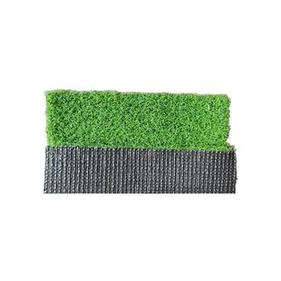 果岭草草皮带泥土别墅花园绿化植物四季青马尼拉真草草坪带土草皮