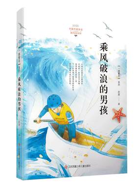 乘风破浪的男孩中国好书