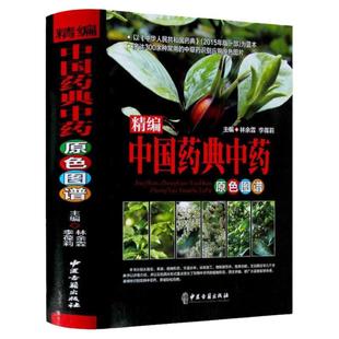 精编3册本草纲目中草药中国药典原彩色图谱图鉴精装中医基础理论医学入门常用中药方剂药材草药识别大全古代医药百科全套正版书籍