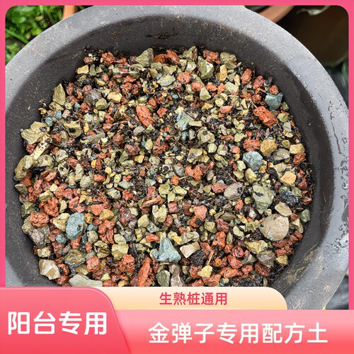 【阳台专用买10省1】金弹子生桩熟桩通用配方土【9.6斤】