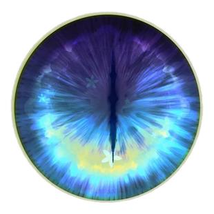 二次元福瑞兽装头骨兽头制作材料兽装diy防尘网打印眼片定制材料