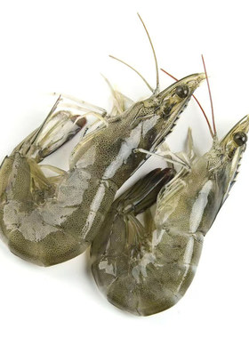 海捕整盒冷冻特大虾20-30只/千克