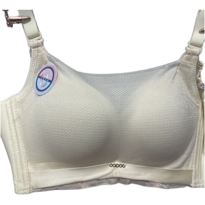 性感蕾丝无钢圈聚拢光面网沙