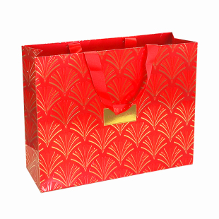 原装正品雅诗兰黛礼品袋礼盒包装小棕瓶护肤品包装盒礼品手提袋子