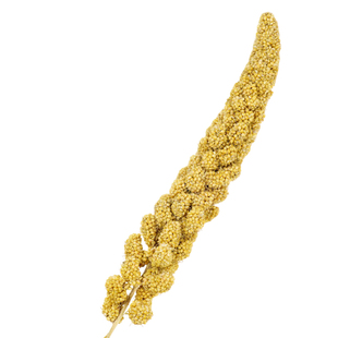 【宠大条】鹦鹉谷穗天然带壳黄谷子鸟粮虎皮玄凤牡丹训练奖励零食