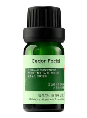 皙岛茶树精油祛痘控油修护