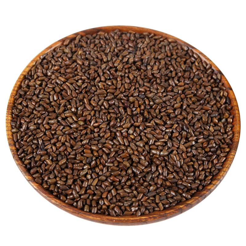 熟决明子茶 包邮500g 炒制决明子凉州 泡茶饮 广西新货决明子