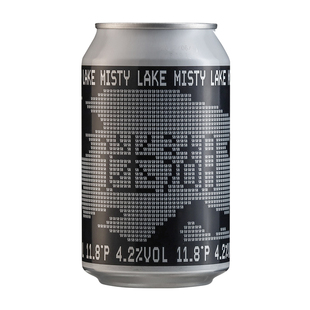 罐装拾捌精酿啤酒十八号18跳东湖IPA不接受批评朋克之城四倍