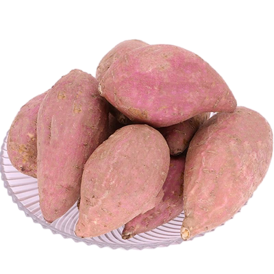 黄心番薯粉糯噎喉/肉质细腻