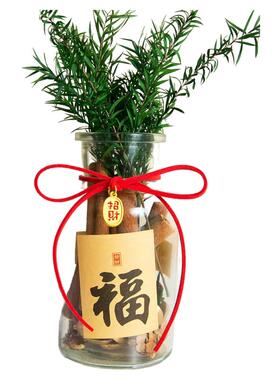 肉桂生财香薰玻璃瓶摆件聚财门招财千层金卧室办公室桌面装饰礼物