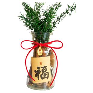 肉桂生财香薰玻璃瓶摆件聚财门招财千层金卧室办公室桌面装饰礼物