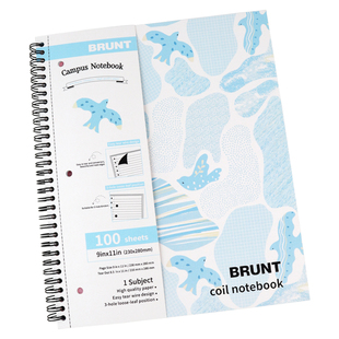 BRUNT主力飞鸟系列美式笔记本本子A4双线圈本三孔活页纸可撕带插袋创意花边分栏英语单词本绘图设计网格本