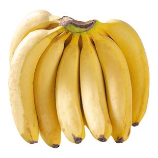 广东大香蕉新鲜高州遁地香蕉自然熟3/5/10斤本地大香焦绿皮不泡药