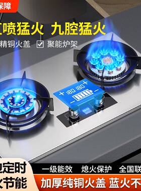 德国品质家用煤气灶双灶嵌入式台式天然气燃气灶液化气猛火灶具