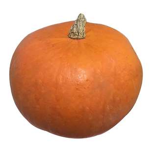 红皮南瓜黄圆南瓜金瓜金丝南瓜灯雕刻南瓜新鲜蔬菜小南瓜包邮