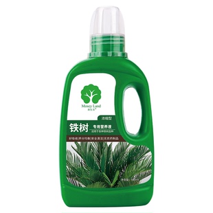 铁树专用肥料铁树专用肥铁树肥料铁树营养液铁树专用土营养土
