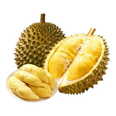 国家馆猫山王D197榴莲鲜果空运