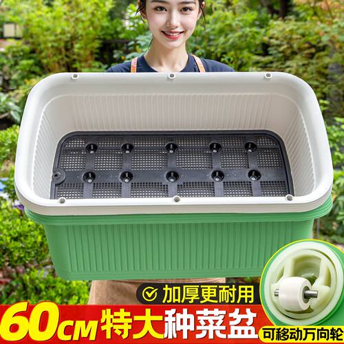 特大种菜盆阳台蔬菜种植盆家用种菜专用盆长方形塑料长条大花盆子
