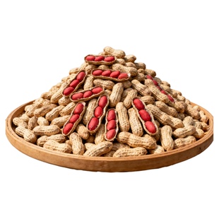 正宗东北四粒红花生米应当季蔬菜10斤红皮2025新鲜生花生带壳晒干