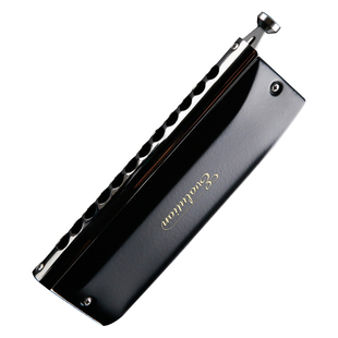 JDR嘉德瑞半音阶口琴十二12孔C调EVO-0648s初学者专业演奏级