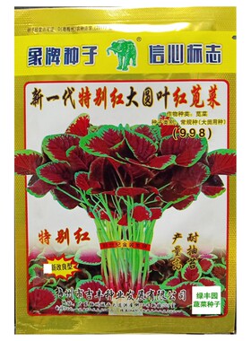 港种新一代特别红998苋菜种子