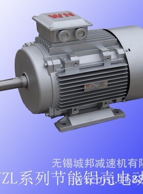 现货供应WNM皖南，,YEJ刹车，YVF变频，YX南华电机