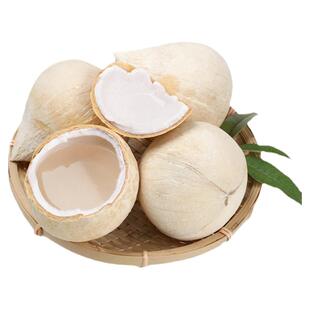顺丰海南三亚牛奶香椰子小奶椰芋椰皇新鲜水果甜品店椰子鸡商用