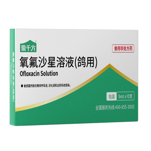 氧氟沙星溶液鸽药鹦鹉专用兽药呼吸道消化道泌尿道感染赛鸽用兽用
