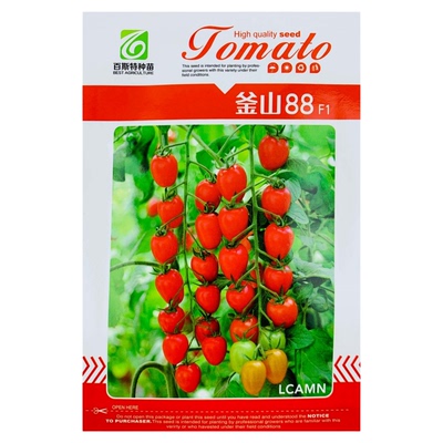 西红柿圣女果种子蟋蟀四季