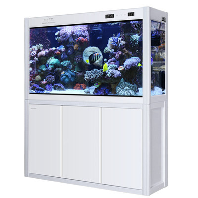 闽江鱼缸中小型客厅免换水