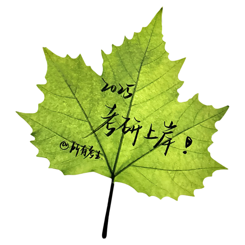 枫叶便利贴！缓缓飘落像真的