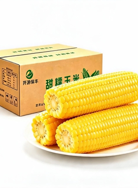 东北黑土地新鲜玉米大棒软糯香甜