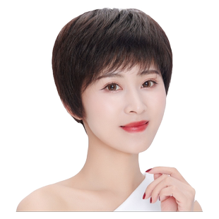 假发女短发自然时尚全头套中老年妈妈款全真人发丝短直发真发发套