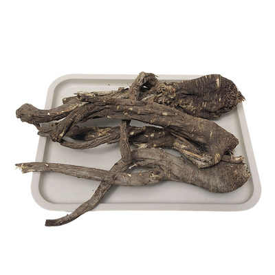 藏区野生藏当归20年老树根