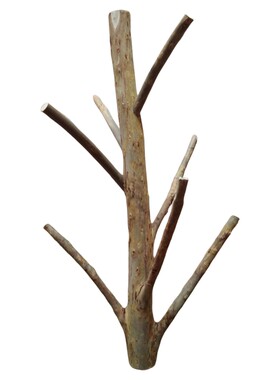 宠物玩具树枝蜜袋鼯桉树叶山里宝