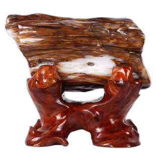 缅甸树化玉原石摆件天然冰种硅化木木化石奇石客厅景观石观赏石头