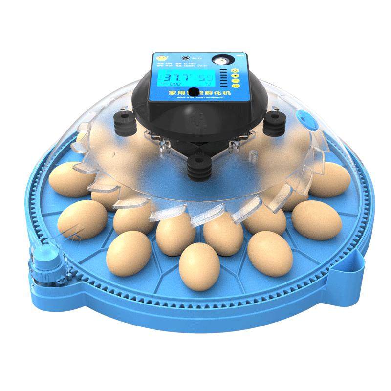 孵化器小型家用全自动孵化机智能小飞碟孵蛋器鹦鹉芦丁鸡鸟蛋孵化