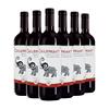 智利进口红酒智象窖藏精选干红赤霞珠干红
