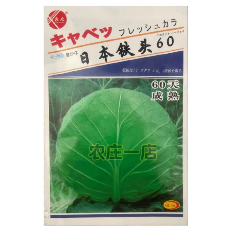 日本铁头甘蓝种子包菜种籽耐热