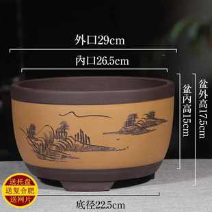 宜兴紫砂兰花盆大号包盆绿简约阳台花卉肉圆形种菜植邮花盆陶瓷多