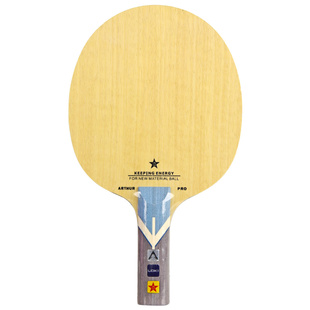 莹恋雷神LOKI周雨W81八一队员PRO特注外置内置碳素乒乓球底板球拍