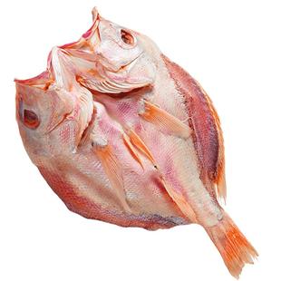 广东湛江特产送礼3斤深海红鱼干整条大红鲷鱼干淡晒海鲜海鱼干货