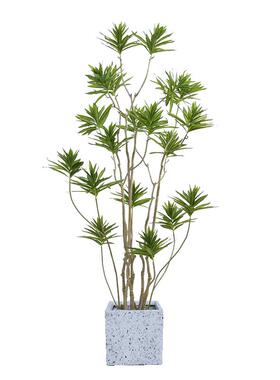 仿真绿植装饰金边大型百合竹盆栽