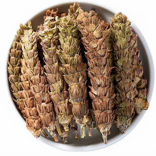 夏枯草中药材新鲜干货白毛蒲公英猫爪草正品新鲜干货干货旗舰店cc