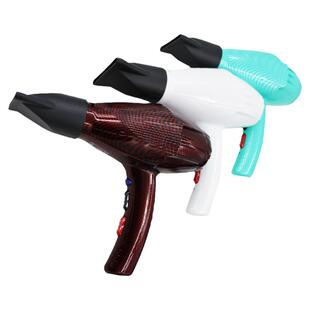 110V220V电吹风出口美护发吹风机大功率宿舍家用发廊冷热风大风量
