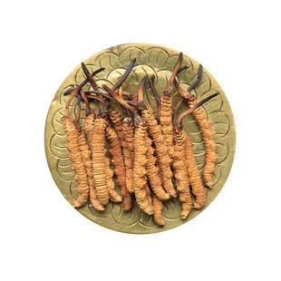 藏美裕 冬虫夏草正品 西藏那曲海拔4600米以上正宗精选滋补礼盒装