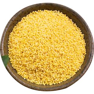 25年新硬糜子米陕北稷子米黄米饭不粘硬黄米摊黄炒米酸粥蒸煮捞饭