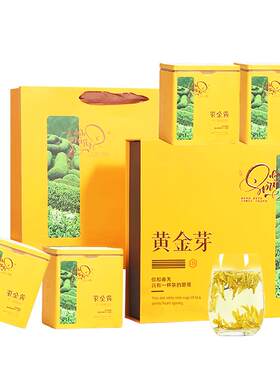 承艺茗茶2026特级安吉白茶送礼