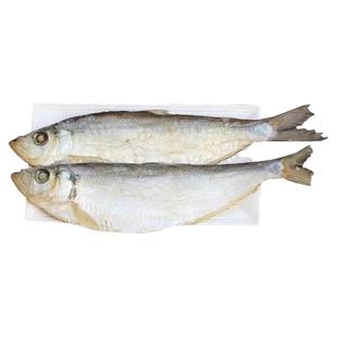 新货白鳞鱼 不是霉香白鳞鱼 咸鱼干 自晒清蒸鱼海鱼500g海鲜干货